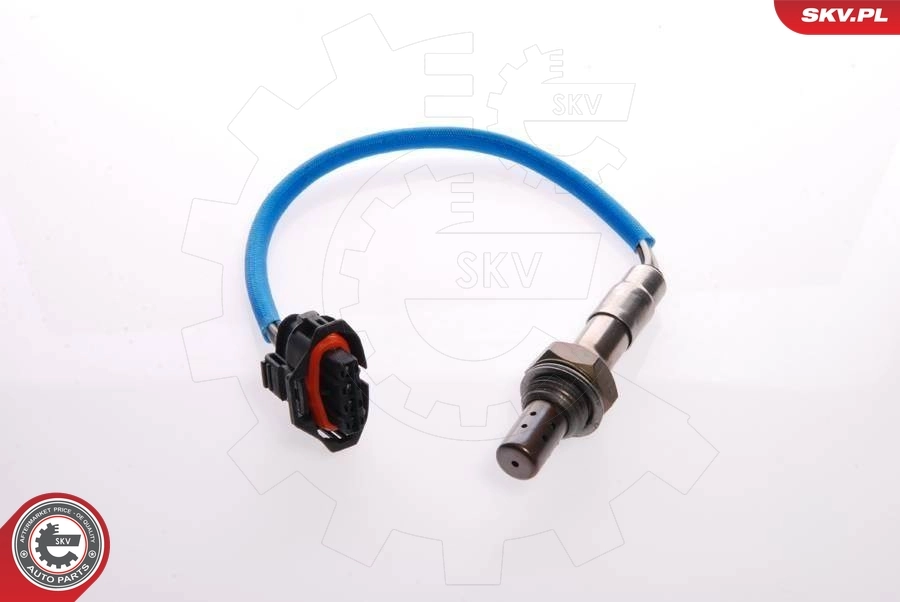Oxygen Sensor